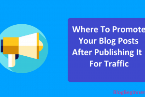 Where To Promote Your Blog Posts After Publishing It For Traffic