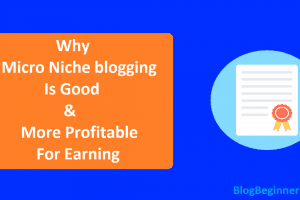 How Single or Micro Niche blogging Is Good & More Profitable For Earning