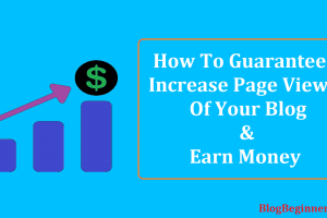 How To Guaranteed Increase Page Views of Your Blog & Earn Money