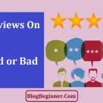 Should You Accept Paid Reviews Good or Bad For SEO