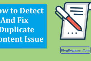 How to Detect & Fix Duplicate Content Issue on Your Blog or Website?